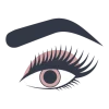 brows and lashes